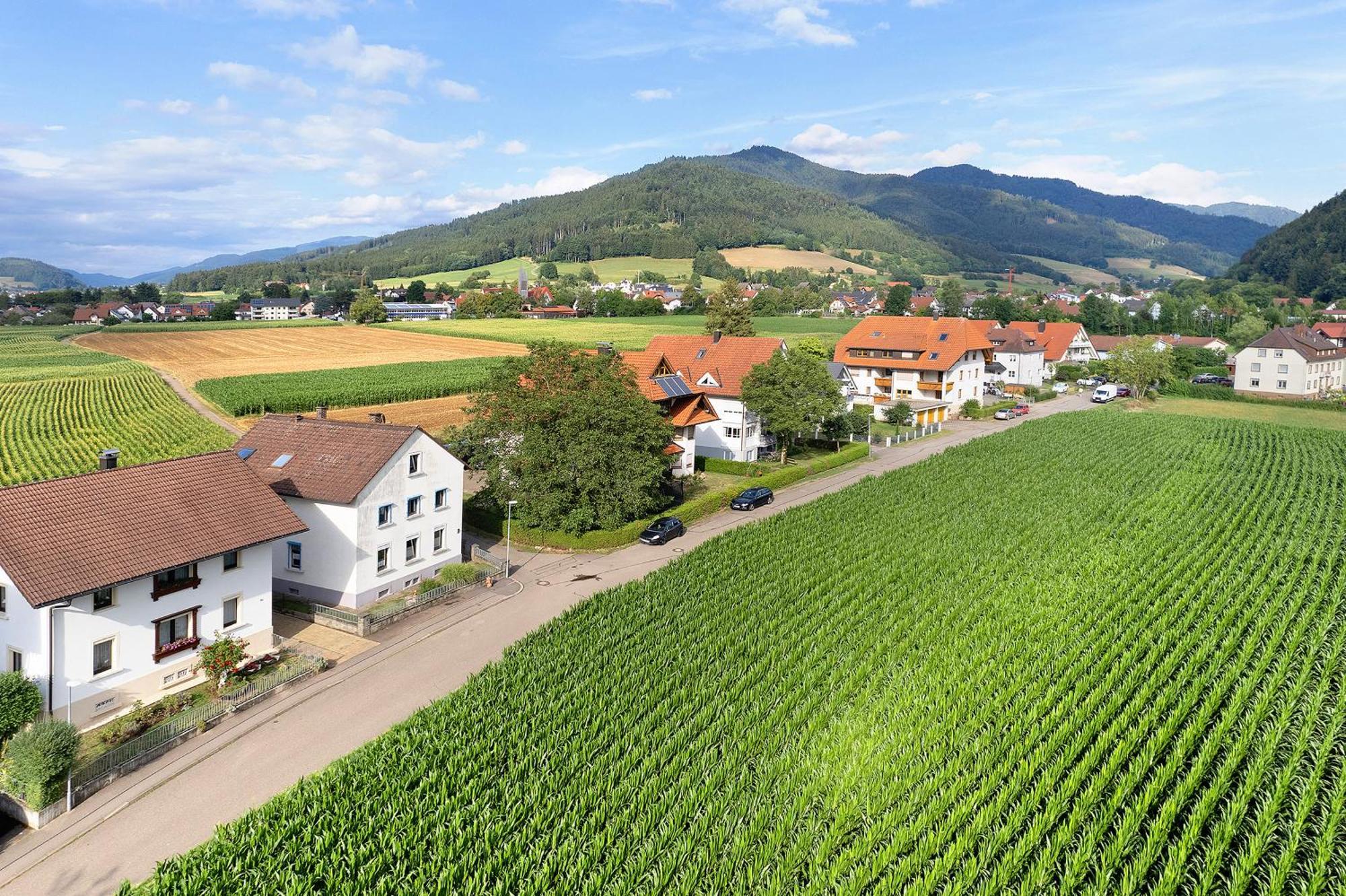 Ferienwohnung Emma Gutach im Breisgau Zewnętrze zdjęcie